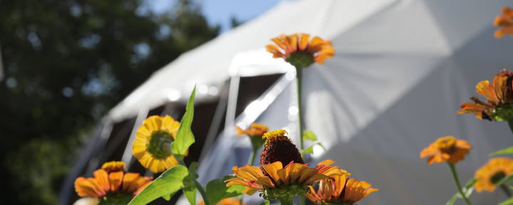 4-dagars tyst retreat i blomning