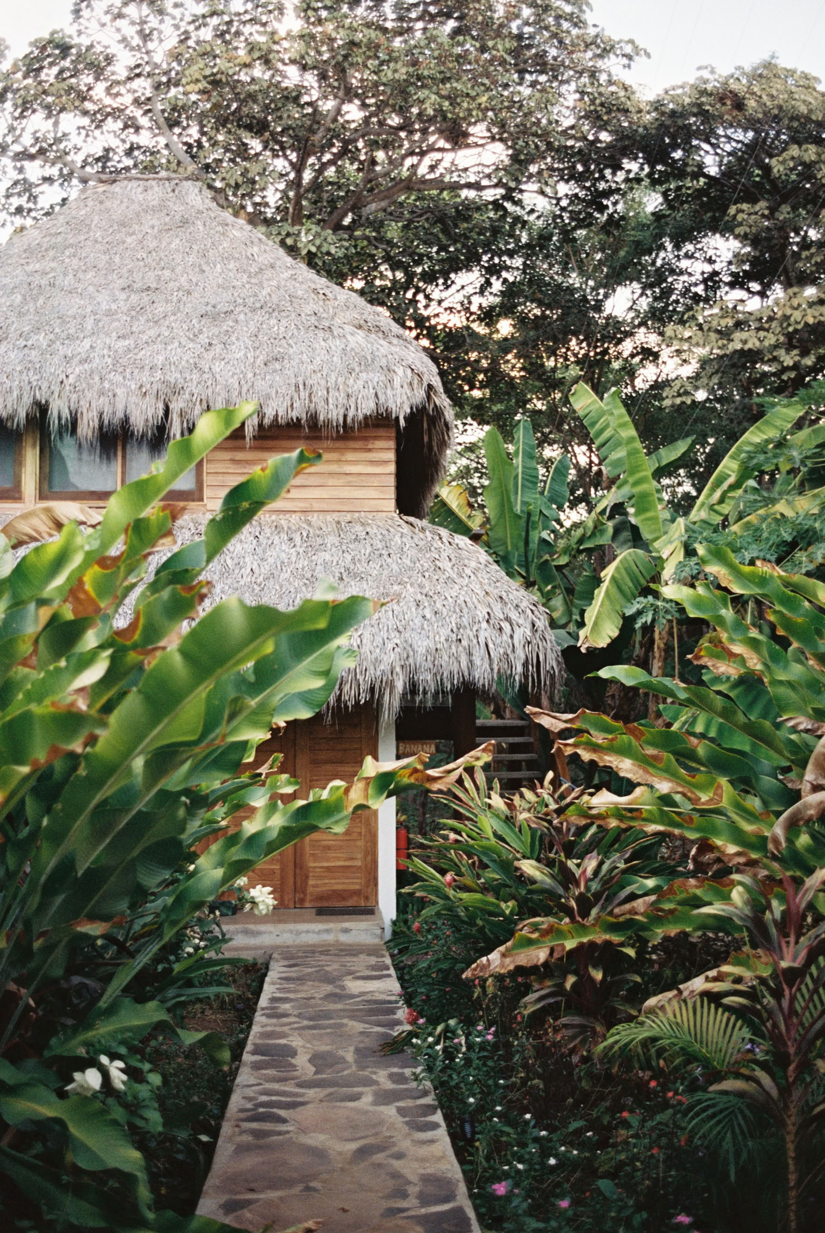 Vild yogaretreat i Nicaragua