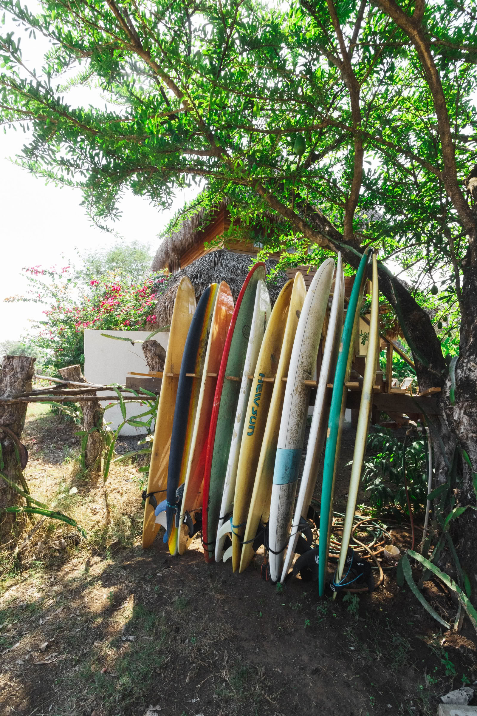 Vild yogaretreat i Nicaragua