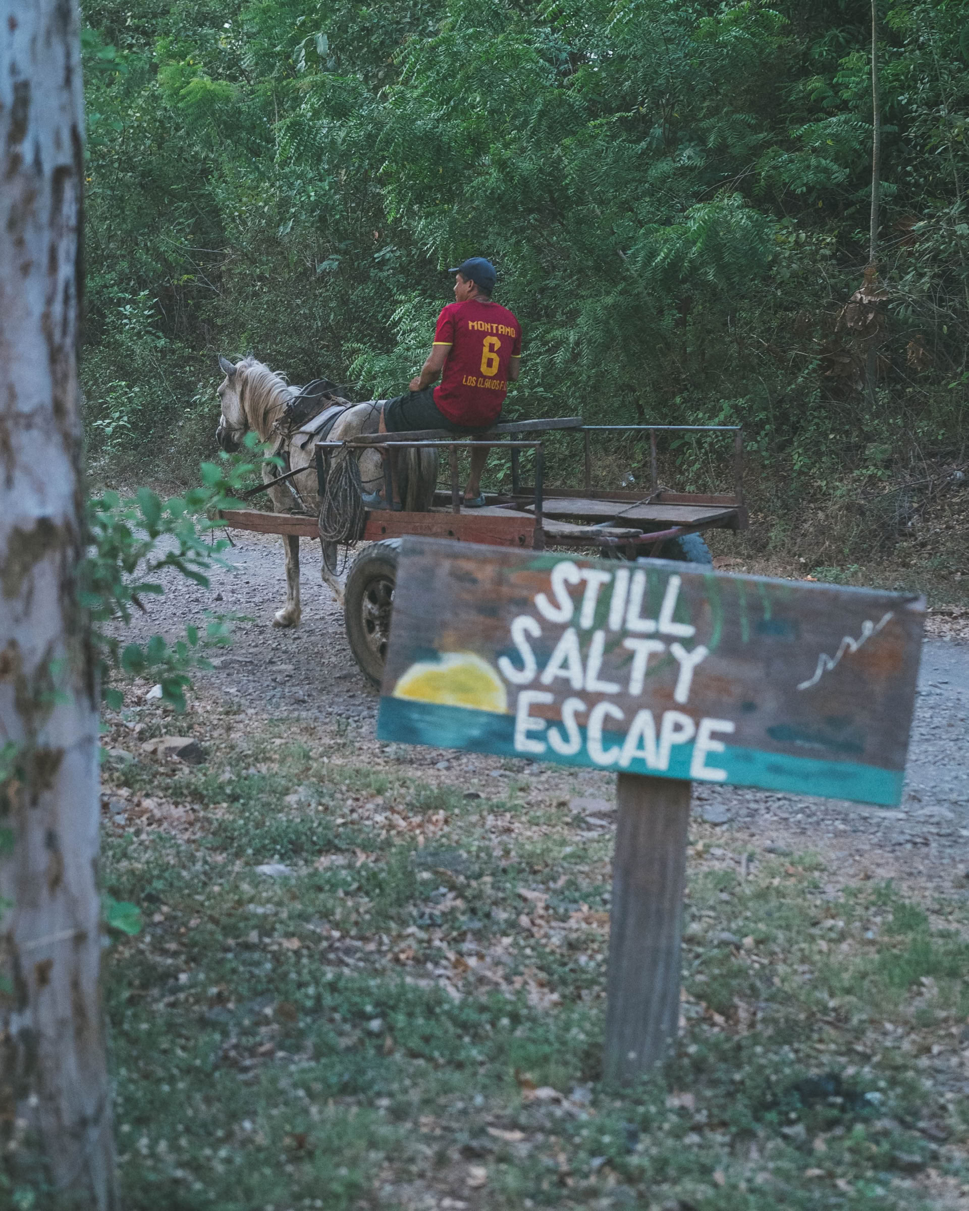 Vild yogaretreat i Nicaragua