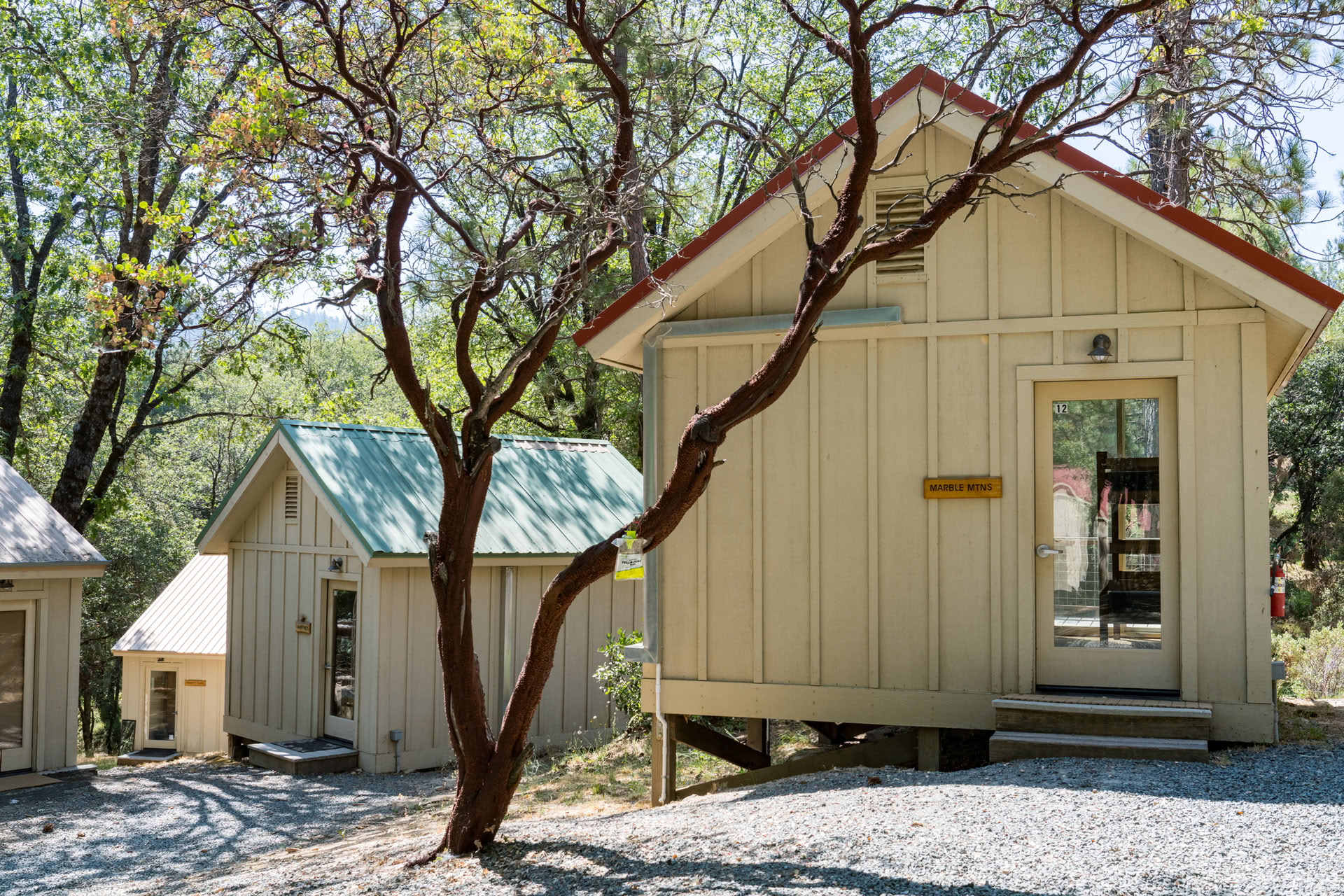 Att föra vidare Paramhansa Yoganandas mission