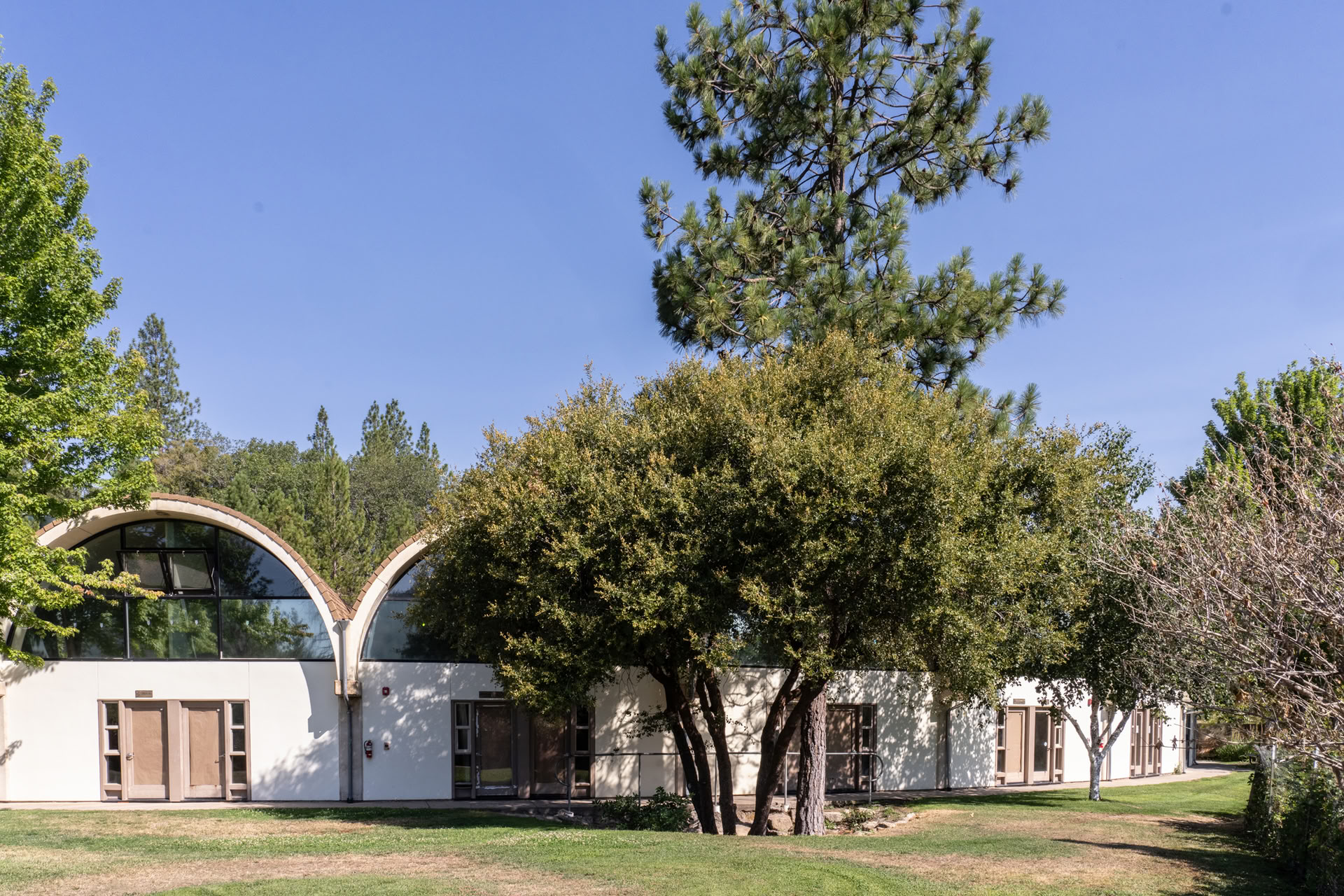 Att föra vidare Paramhansa Yoganandas mission