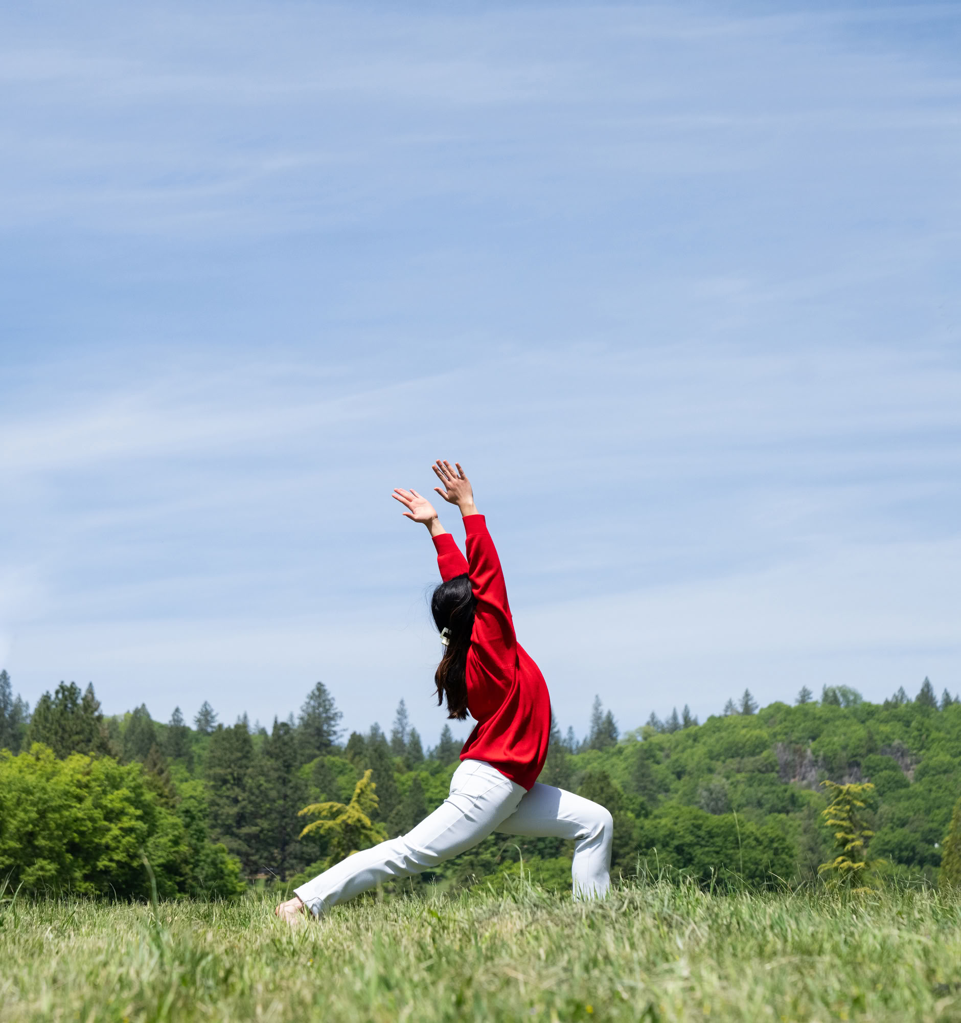 Grunderna i Ananda Yoga