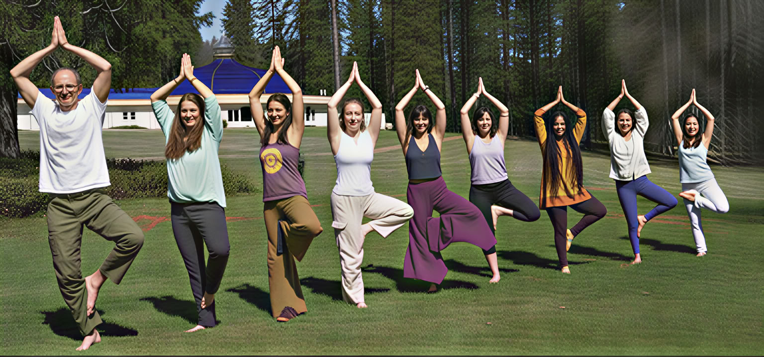 Grunderna i Ananda Yoga