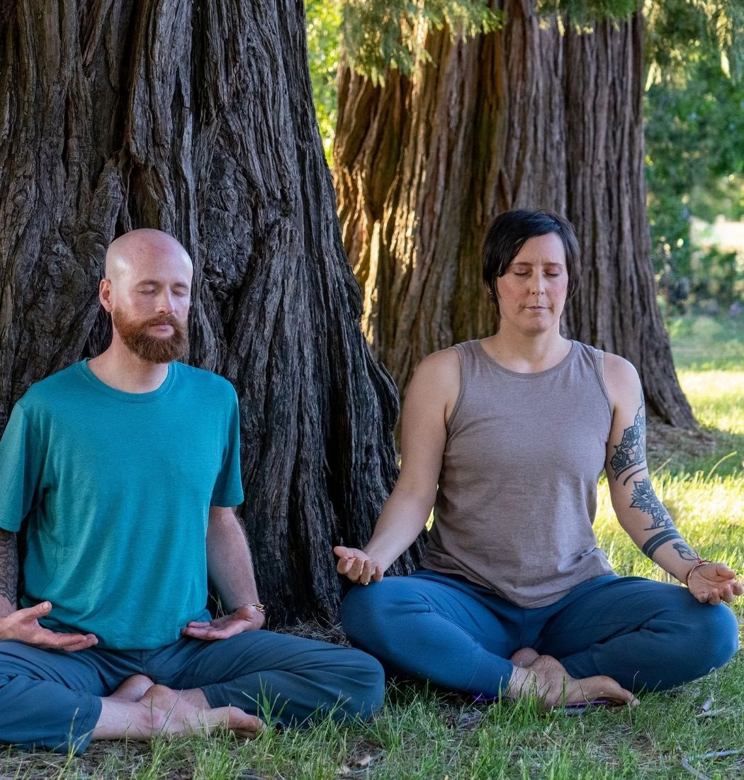 Grunderna i Ananda Yoga