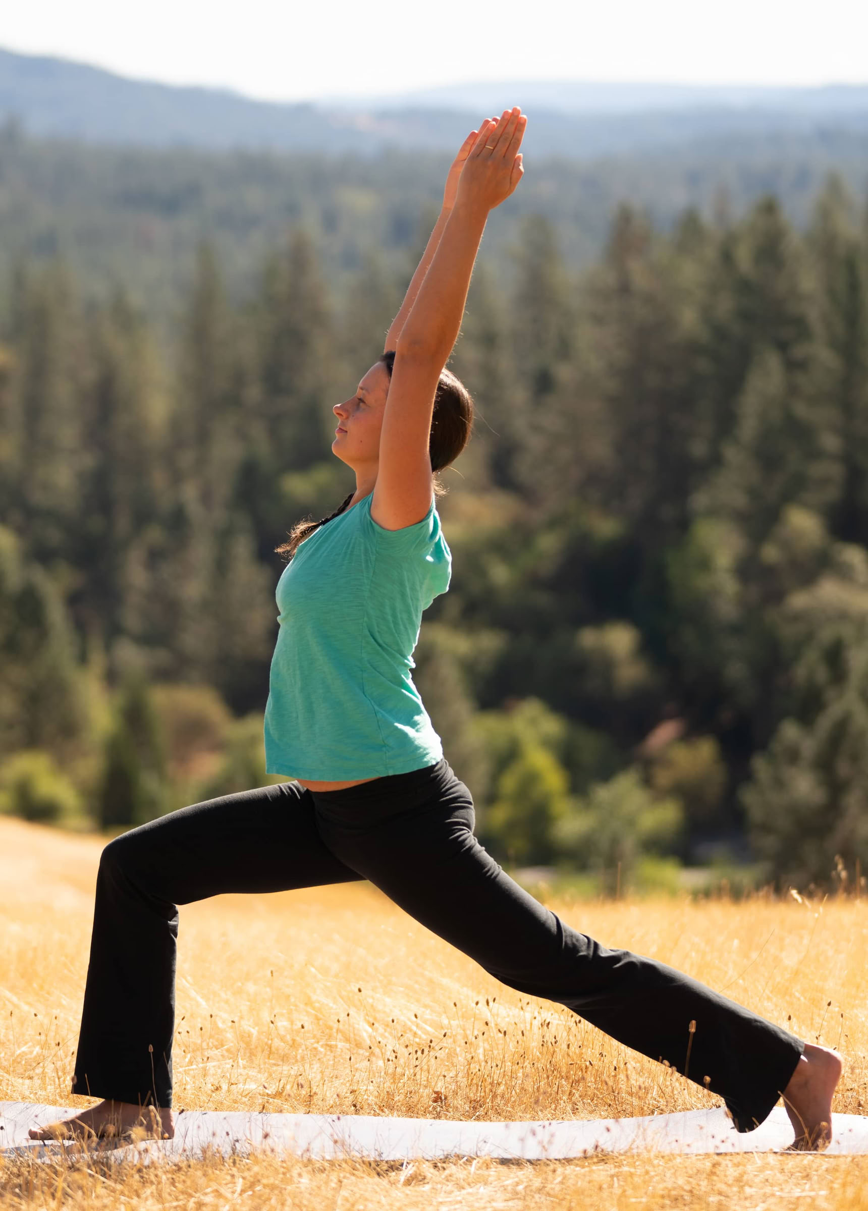 Grunderna i Ananda Yoga