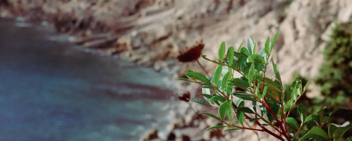 Mixa och träffas halvdagretreat på Ibiza