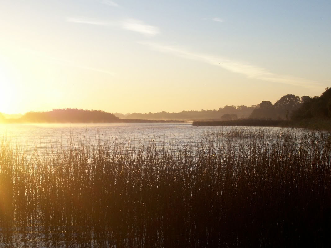Tyst retreat 14–16 augusti