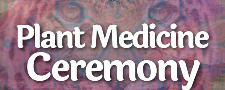 Ceremonier med växtmedicin
