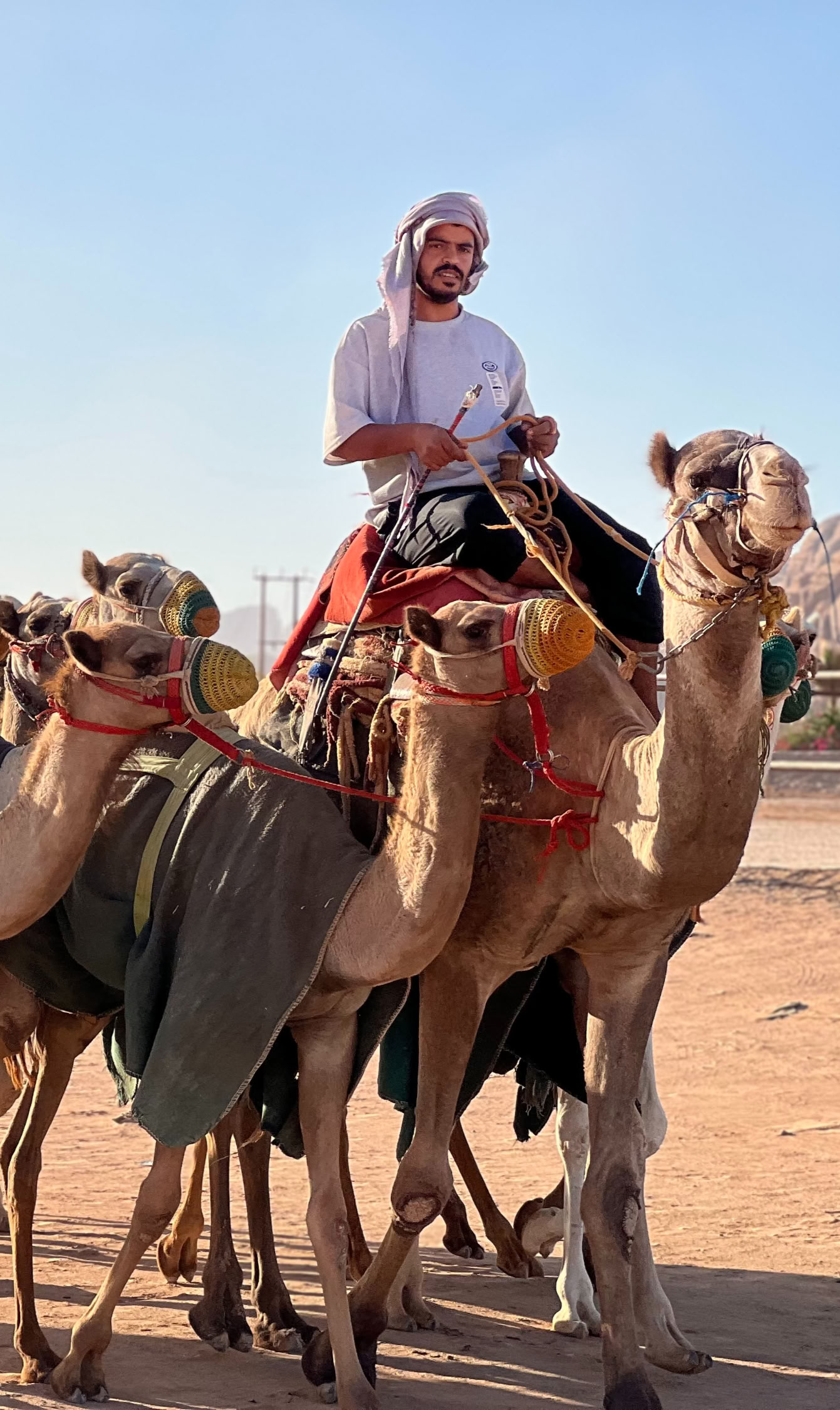 Ökensafari i Wadi Rum, Jordanien