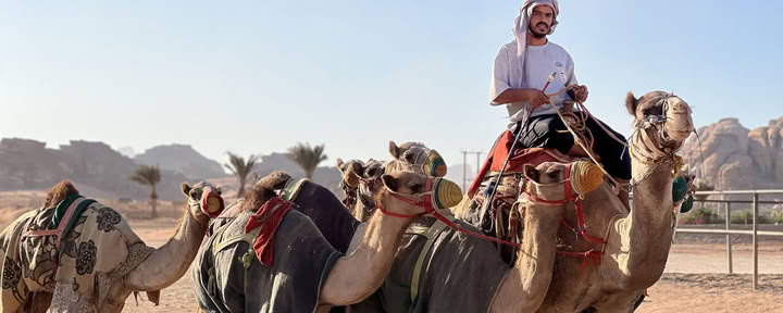 4 dagars kameltrekkingäventyr med beduiner i Wadi Rum, Jordanien