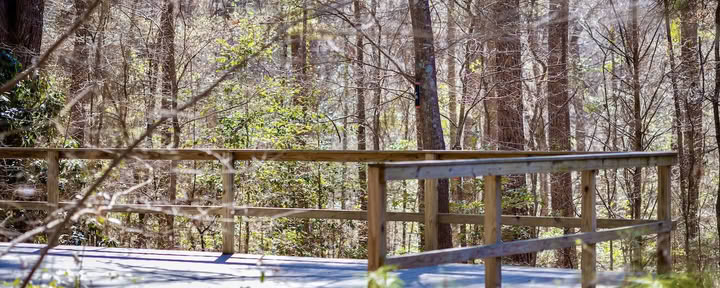 Mindfulness-retreater
