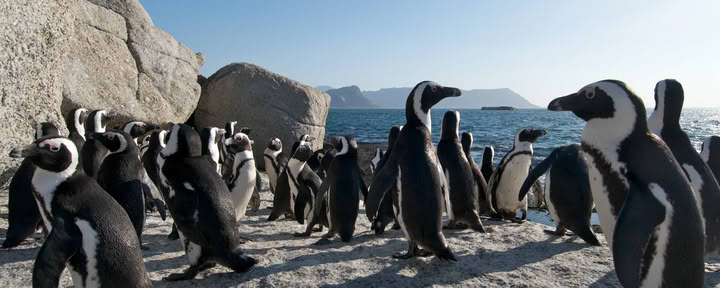 SUP-safari och vandringsretreat