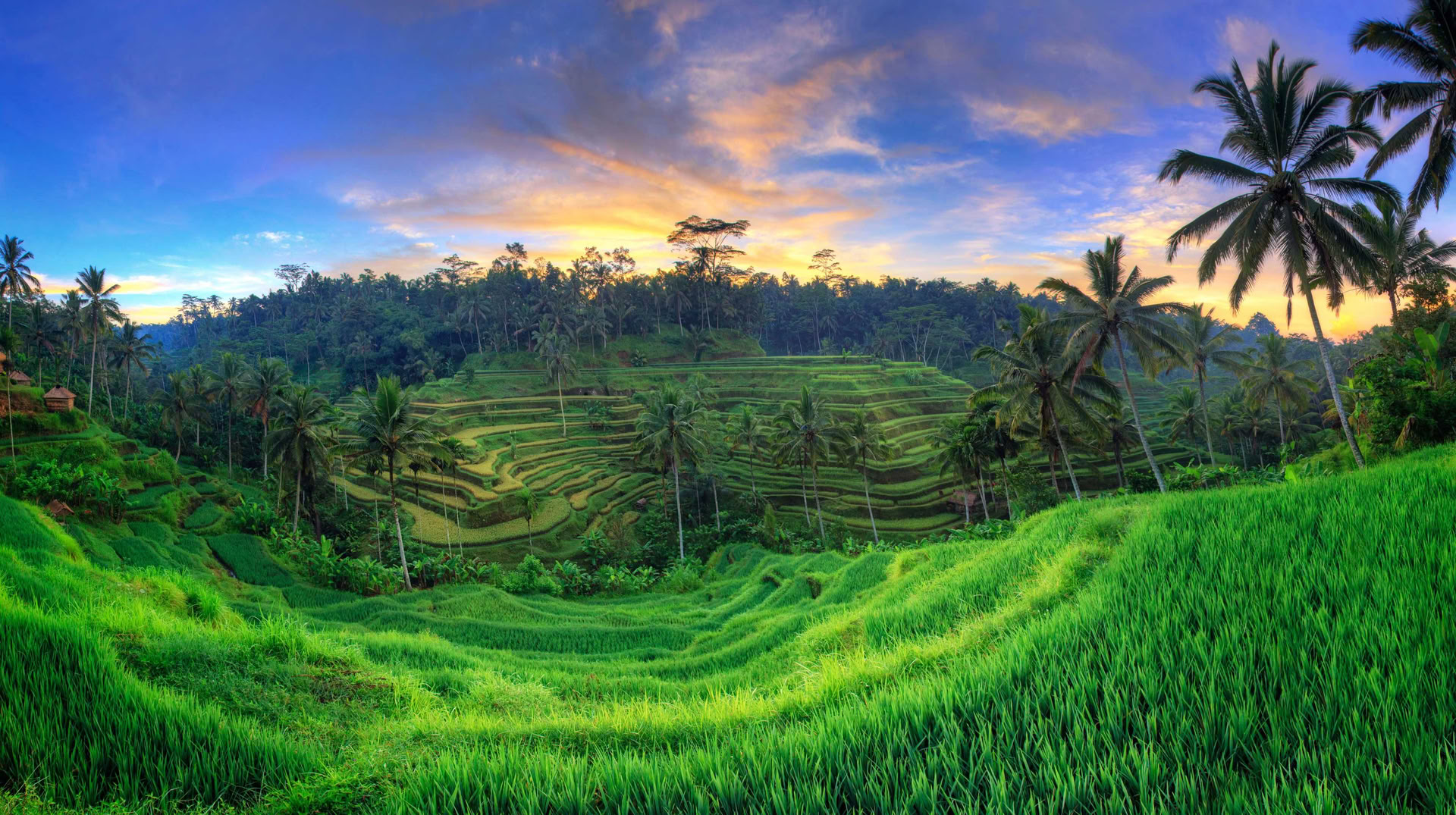 Oförglömlig 7-dagars yogaretreat på Firefly Retreat Bali