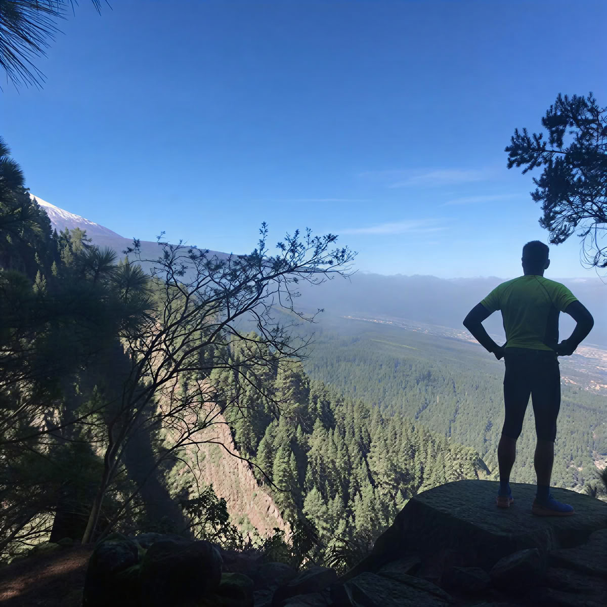 Yoga eller meditation och välmåendepaus på norra Teneriffa – 07 sep – 21 okt 2026