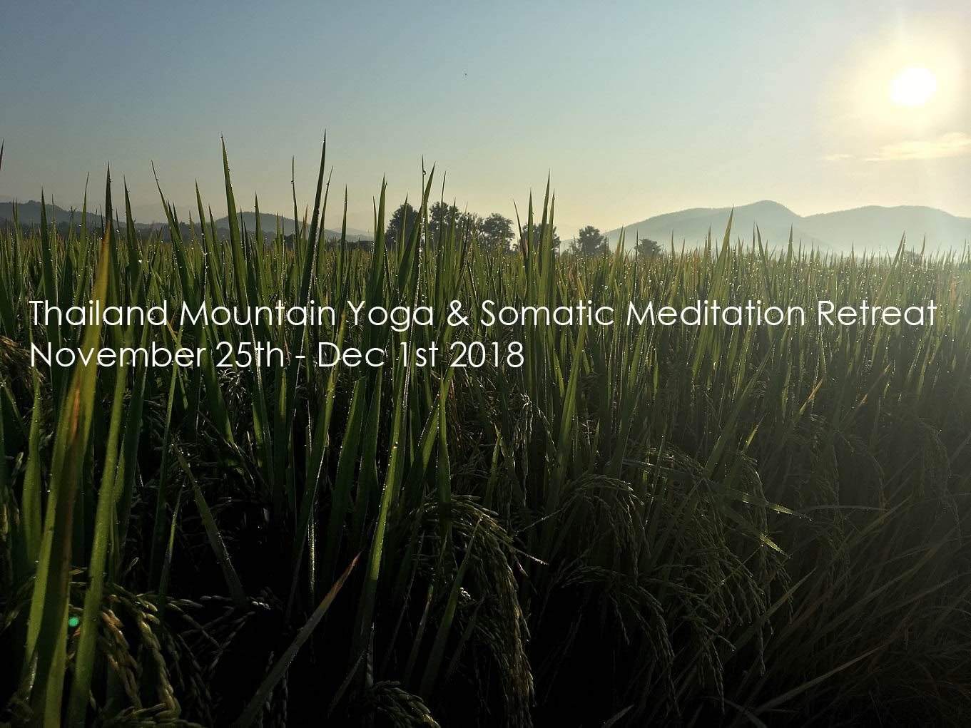Somatisk meditations- och yogaretreat i Chiang Mai, Thailand