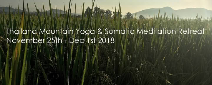 Somatisk meditations- och yogaretreat i Chiang Mai, Thailand