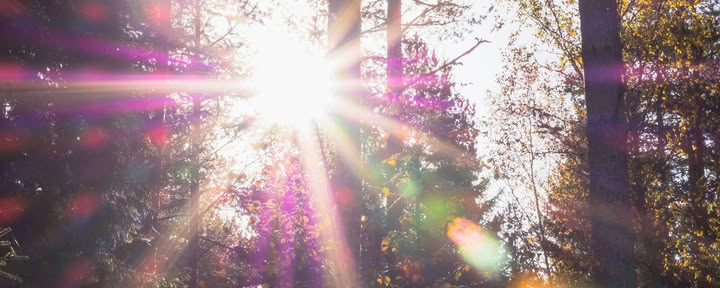 Systertalk Retreats - SENT SOMMARGLOW: Mineral-/naturelementsretreat — Wild Nature Retreats