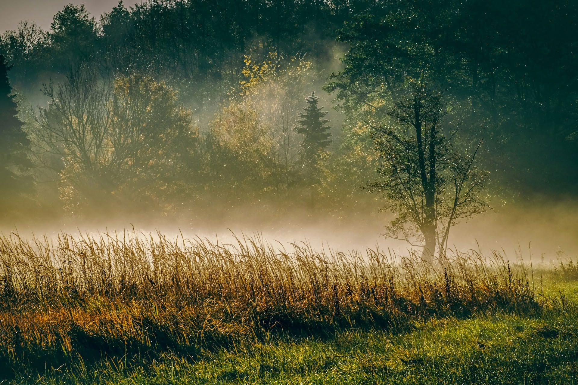 ForREST Retreat: Höstlig jordningshelg — Wild Nature Retreats