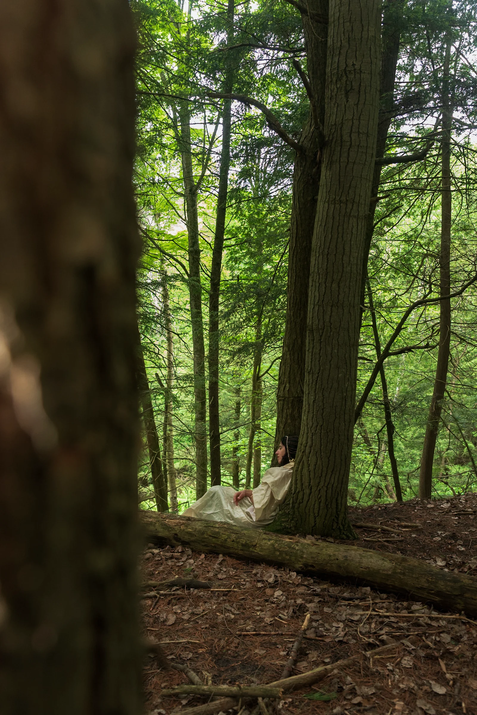 Solsståndsretreatserie: Nationella urfolksdagen – Sommaren börjar med Erin Moe — Wild Nature Retreats