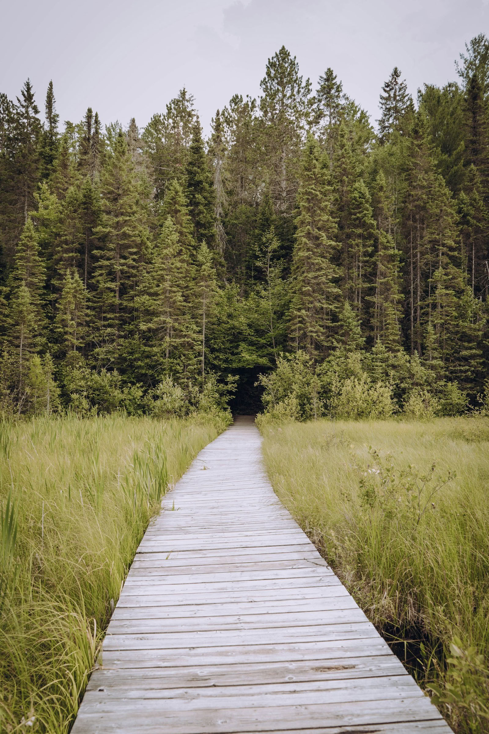ForREST Retreat: Sommarnedvarvning