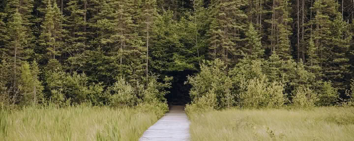 ForREST Retreat: Sommarnedvarvning