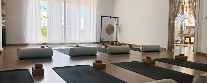 Vinyasa flow