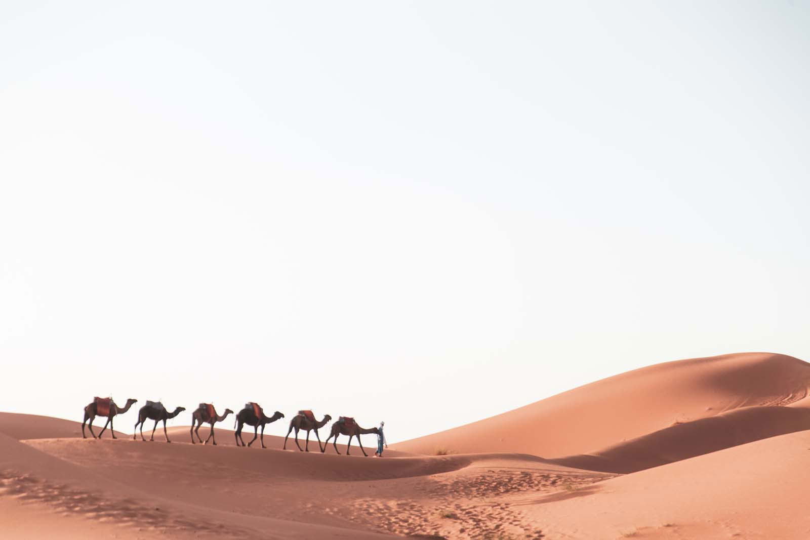6 dagar från Marrakech autentisk ökentur