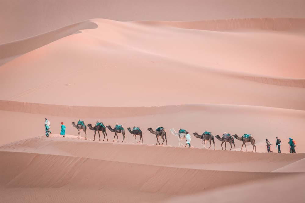 9 dagars rundresa från Marrakesh till öknen och Casablanca