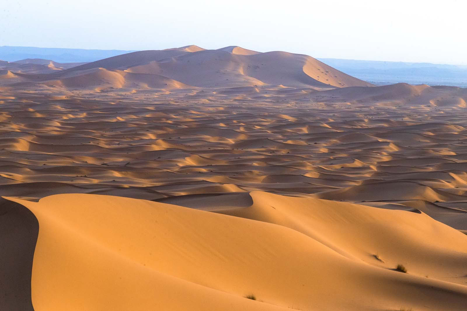 10 dagar från Fes till Marrakech via Merzougaöknen