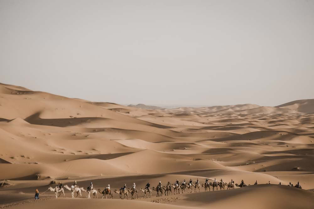 10 dagar från Fes till Marrakech via Merzougaöknen