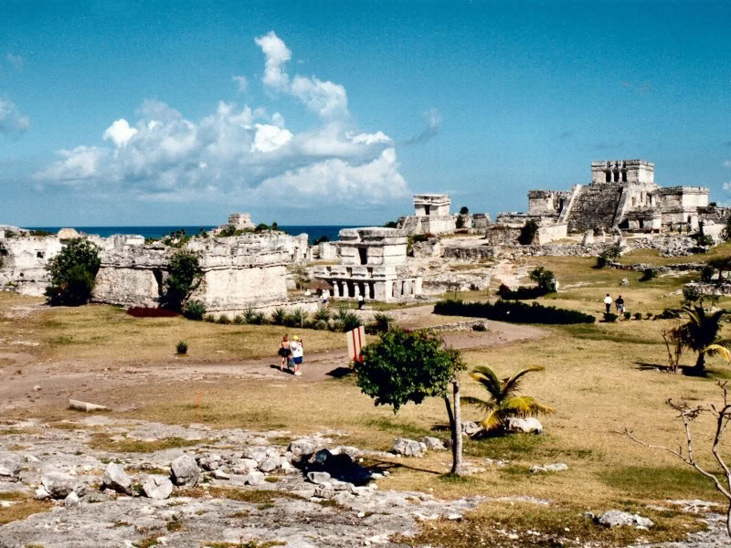 Korallrev och klippor på Isla Mujeres
