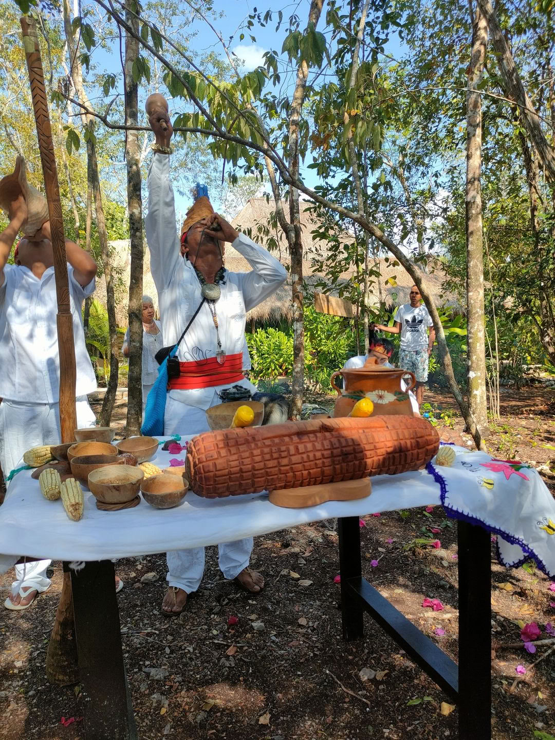 Möte med en mayansk helare i Cobá