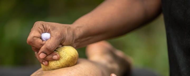 10-dagarskurs: Utbilda dig till ayurvedaterapeut, Sri Lanka