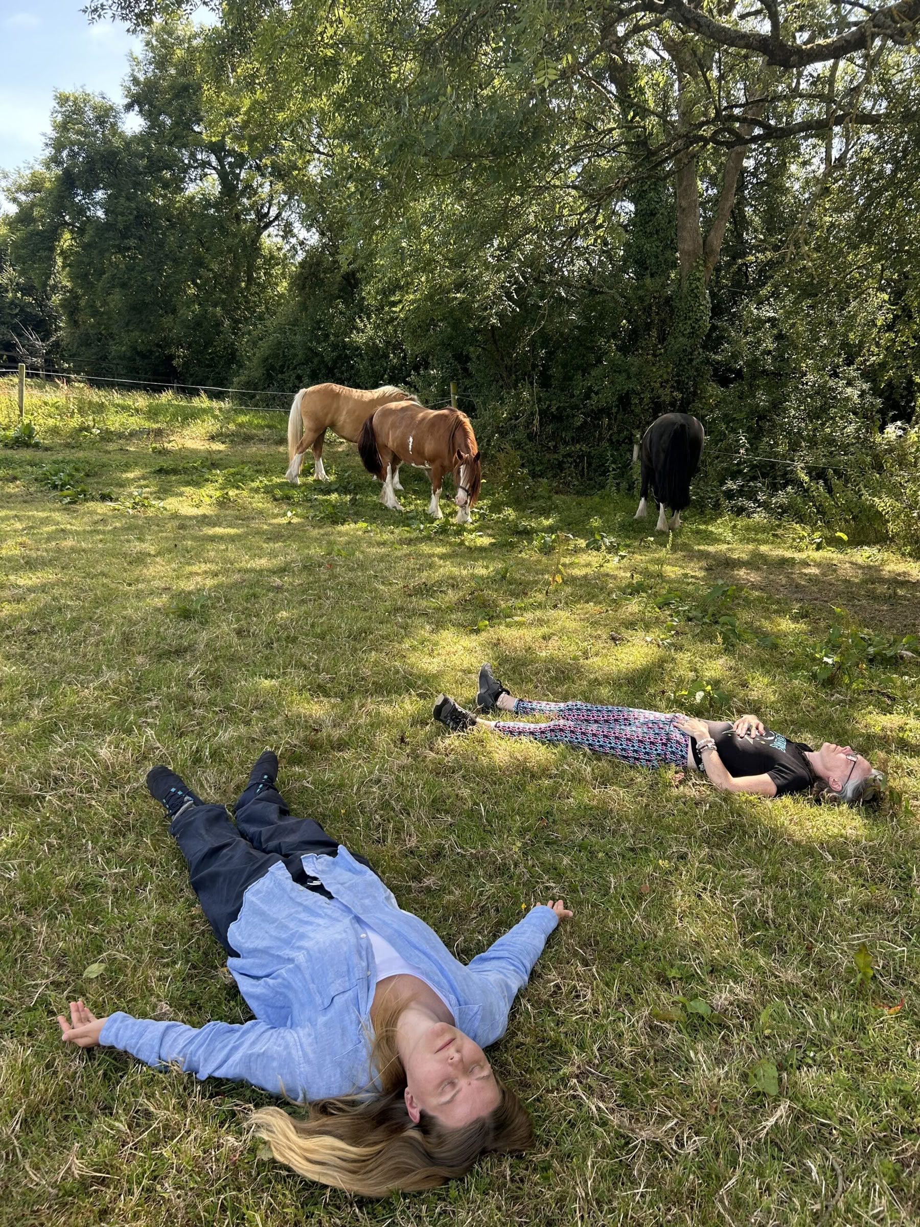 Retreat med hästarna – skapa kontakt från hjärtat
