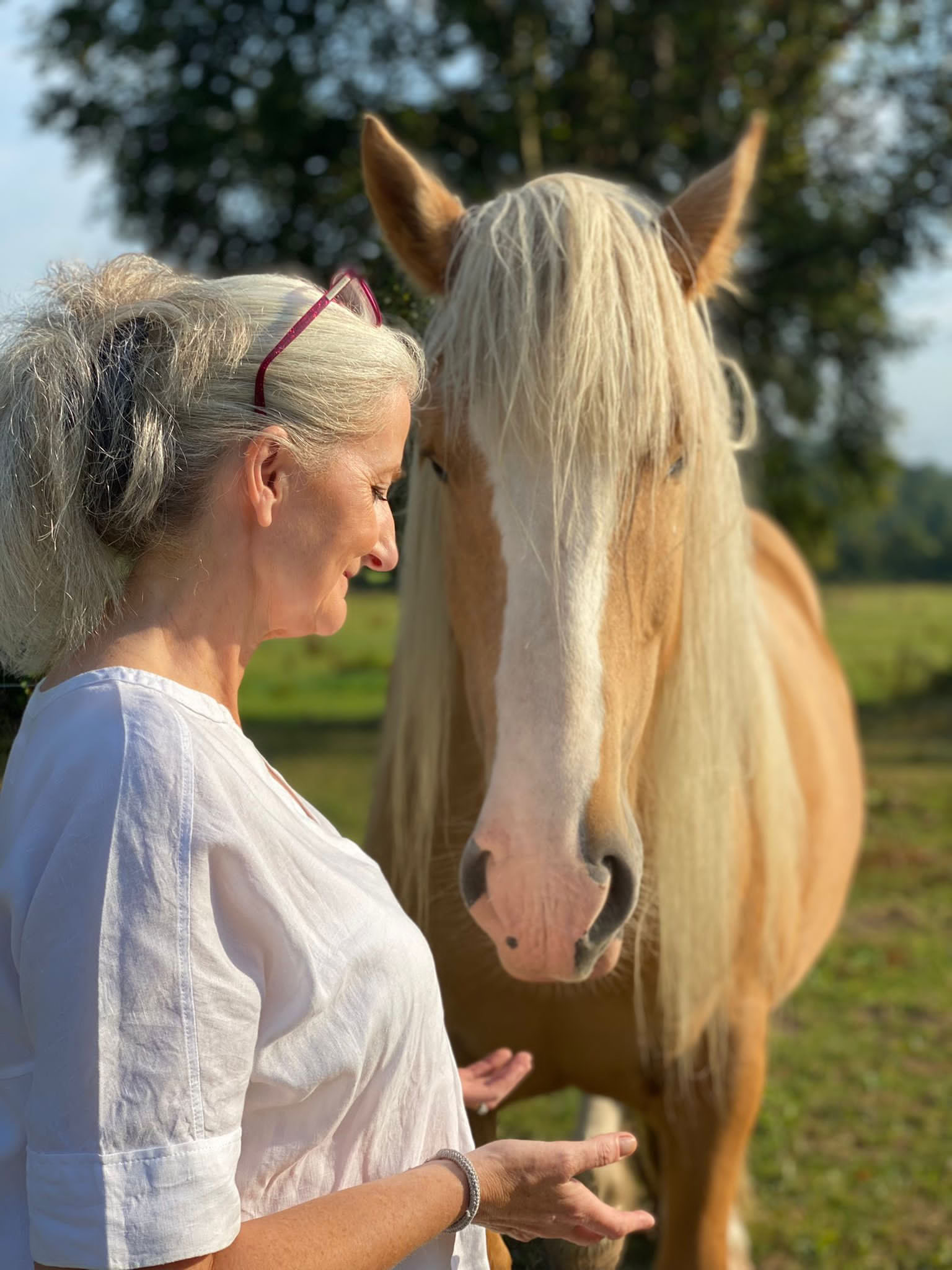 Självkärleksretreat med hästarna