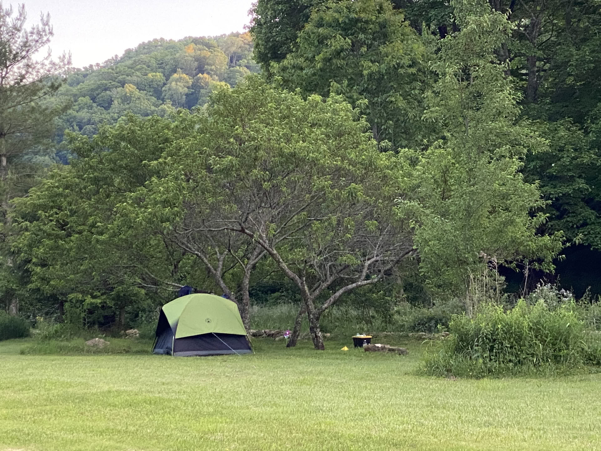 3-dagars ljudhealing-workshopretreat för kvinnor: lär dig vila nära Asheville, NC