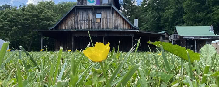 3-dagars ljudhealing-workshopretreat för kvinnor: lär dig vila nära Asheville, NC