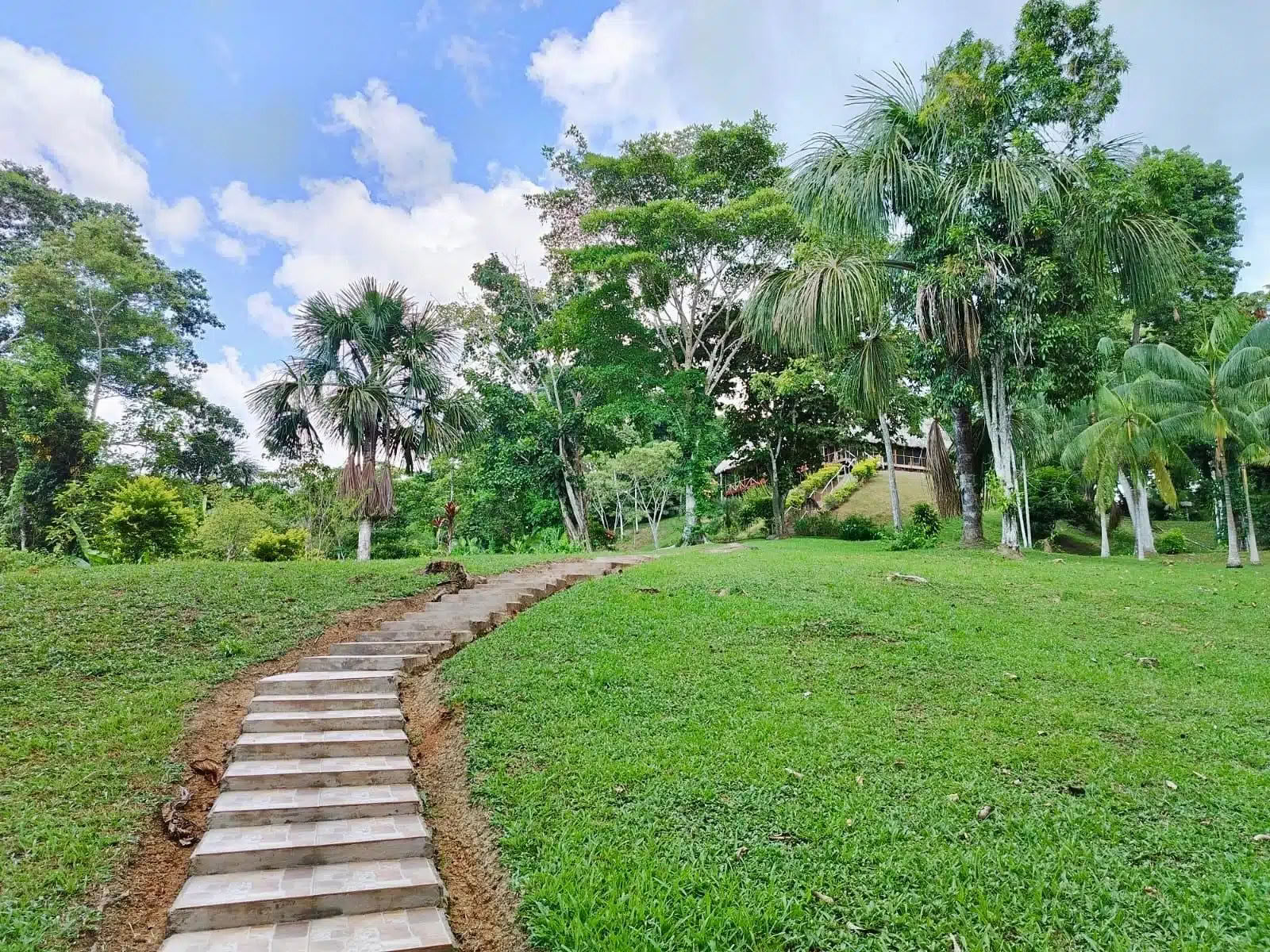 5 dagars ayahuasca- och San Pedro-retreat
