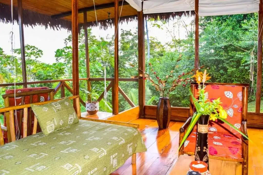 5 dagars ayahuasca- och San Pedro-retreat