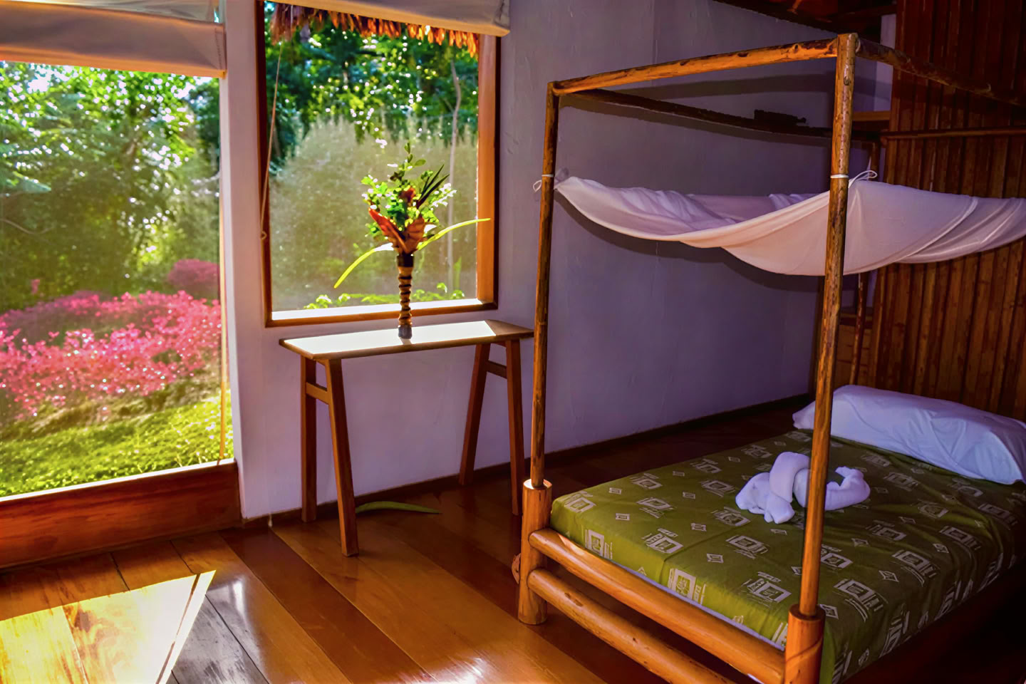 5 dagars ayahuasca- och San Pedro-retreat