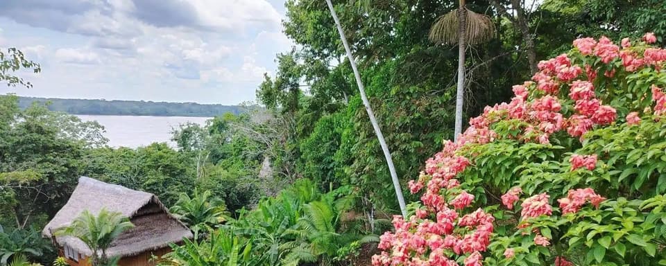 5 dagars ayahuasca- och San Pedro-retreat