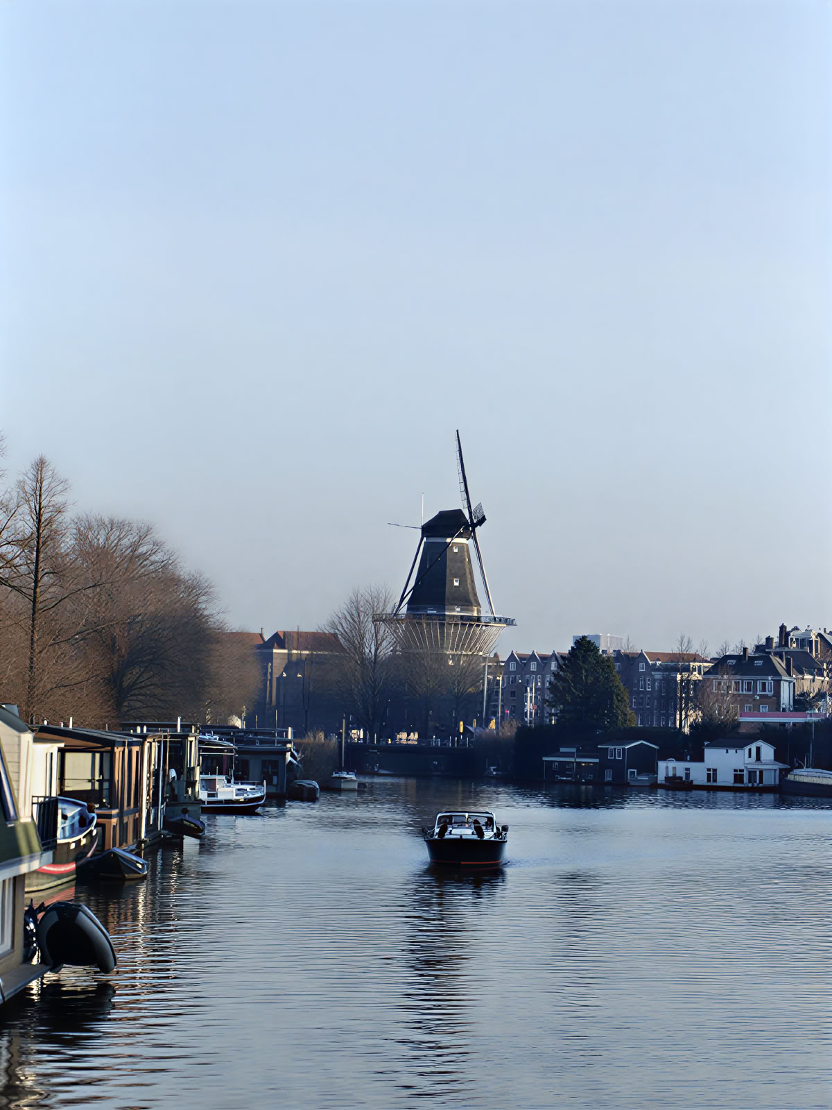 21-dagars privat psilocybinmikrodoseringsretreat i Amsterdam