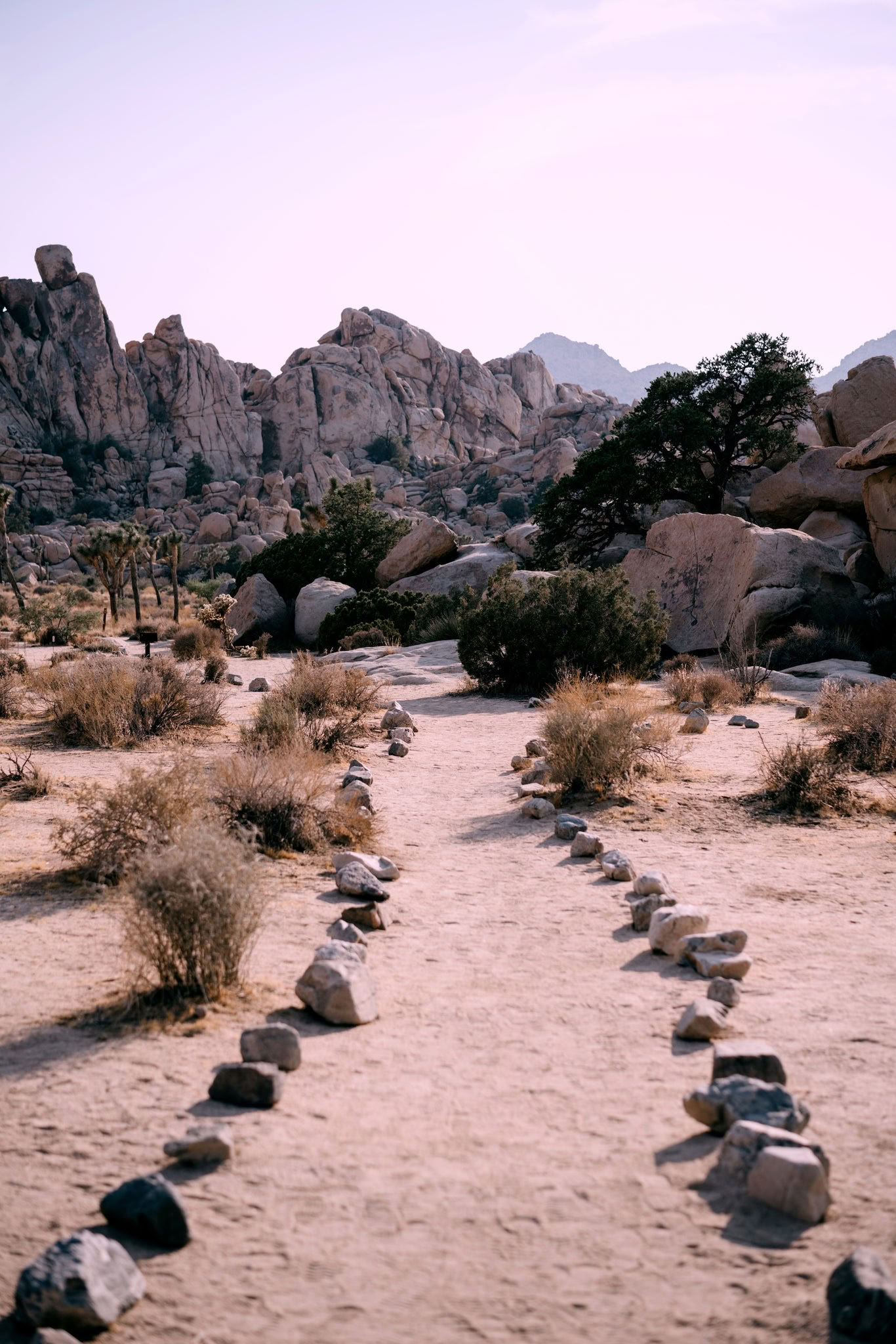 Ökenläkande andningsövningsupplevelse - Palm Springs