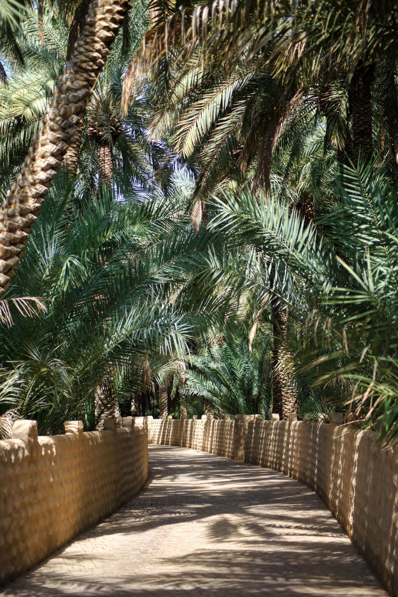 Workshop i blomsterkransar - Palm Springs