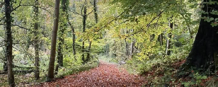 18–21 maj Individuell emotionell läkningsretreat