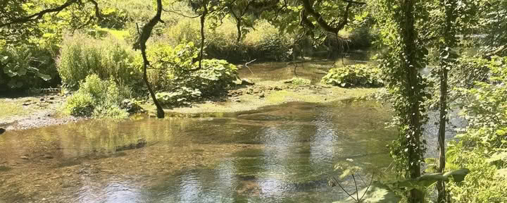 4-dagars Ho'oponopono-retreat 3–6 nov
