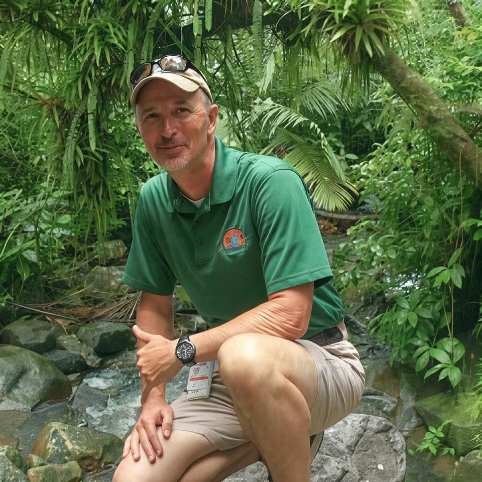 Nattvandring i regnskogen El Yunque