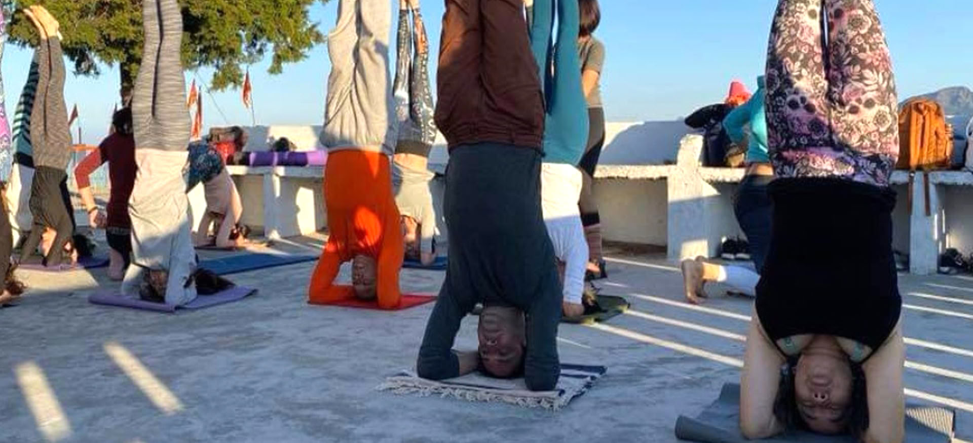 Yoga-retreatkurs av Om Yoga Rishikesh