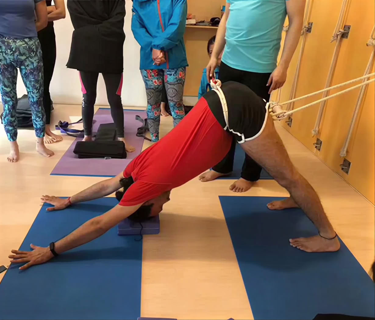 7 dagars semester-yogaretreat